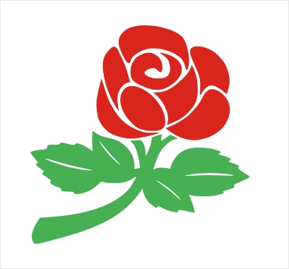 (image for) Two Colour English Rose Vinyl Sticker